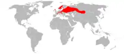 Gama e kastorit evropian