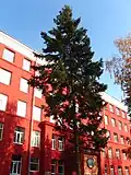 Novosibirsk Shtetit Universitetin Teknik, Ndërtesa Kryesore