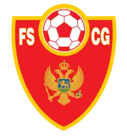 Shirt badge/Association crest