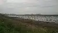 The extensive intertidal zone in the bay during ebb.