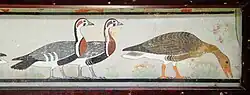 Right section with a greylag and two red-breasted geese