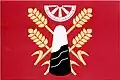 Flag of Úžice