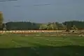 Agricultural surroundings