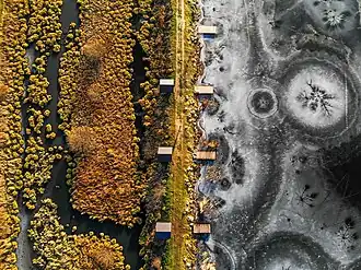 Roztochia Biosphere Reserve, Ukraine