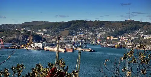 Docks of the ship repair yard and part of the city.