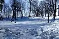 Vyshnivets Park in winter