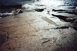 A rock carving depicting an otter or a lizard