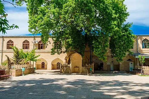 Another view of the courtyard, with a large tree