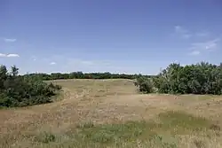 Dyakovsky Forest NP