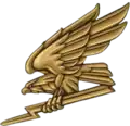 Aviation branch insignia collar