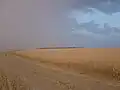 The field