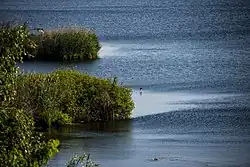 Srebarna Nature Reserve