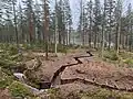 Defensive fighting position in Salpa Line