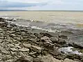 Coast of the Kakhovka Reservoir