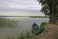 On the shore