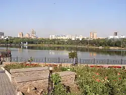 Pond view