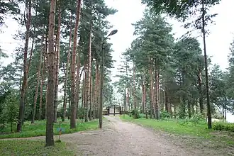 Internal road