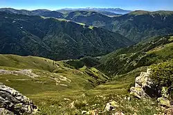 a forested mountain