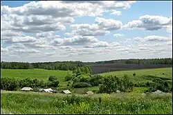 Landscape in Nizhnelomovsky District
