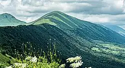 Tumsoy-Lam, Gums taӀan court (Chechen: Гумс таьӀан корт)