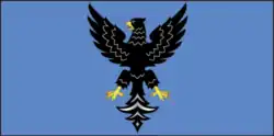Flag of Mazyr
