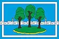 Flag of Ostrovsky District