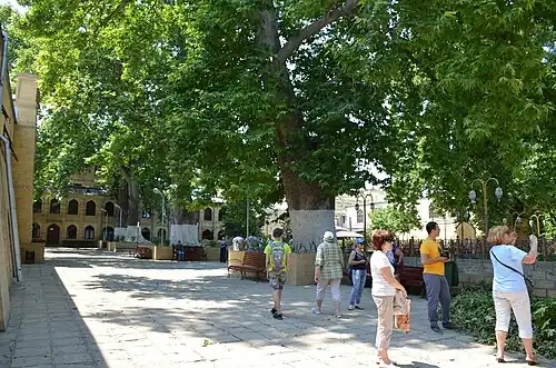 Tourists outside the mosque