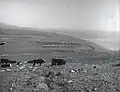 Kfar Hittim, 1937