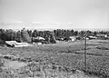 Kfar Malal 1943