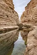 Ein Avdat pools