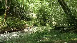 Chaf Rud River