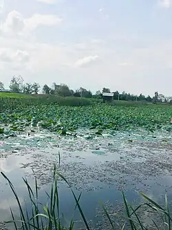 Salakeh Protected Area in Sufian Deh