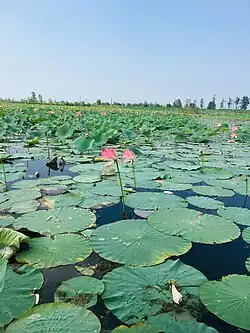Selke Wildlife Refuge in Sowme'eh Sara County