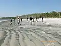 Beach kabaddi