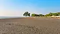 Chanua Point
