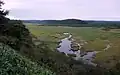 Kottaro wetlands