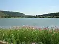 Hongholji National Forest Park
