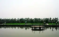 Park in Sihong County