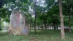 A grove named "Ziwei Grove" (紫薇林).