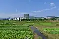 Fields in Shaoguan