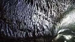 Details of the wall of the cave (2017)