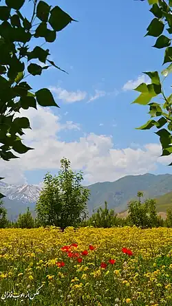Landscape in Piranshahr County