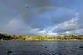 Duck Pond