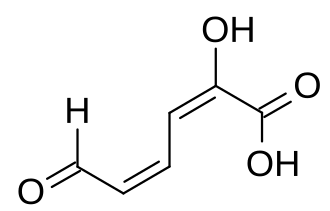 2D representation of the chemical structure of Q27135627.