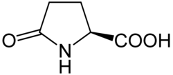 Pyroglutamic acid​​​