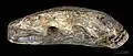 Cave bear canine pierced and engraved with a representation of pike.