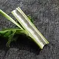 Stem (halved)