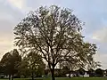 Branching of 'Sapporo AG', Bourne, Lincs. (2021)