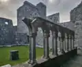 Fore Abbey Cloister