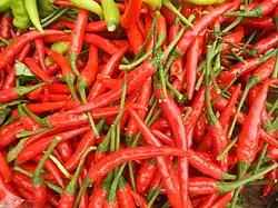 Siling tingala, a hybrid commonly mislabeled as siling labuyo in Luzon markets
